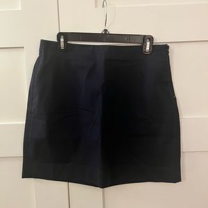 Everlane skirt